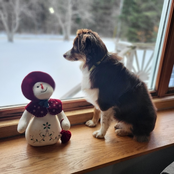 @Willowsrestyle โป๏ธ Like to know when I go live - Picture 6 of 7